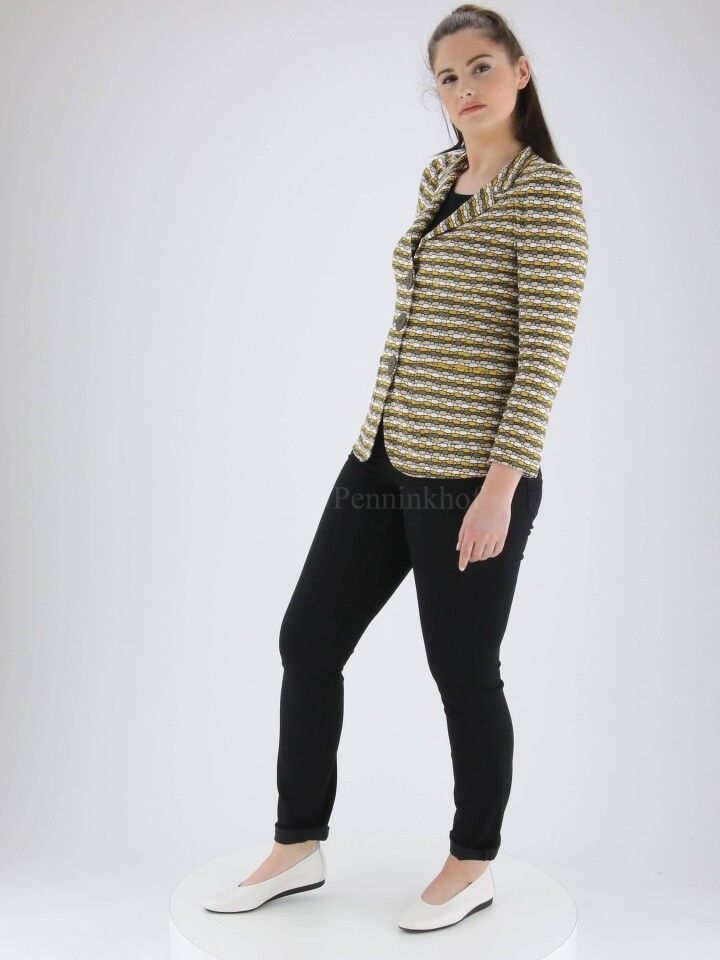 155001086 ML Collections