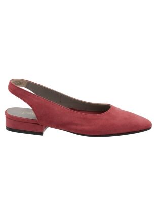 Panara Panara roze rood P22054