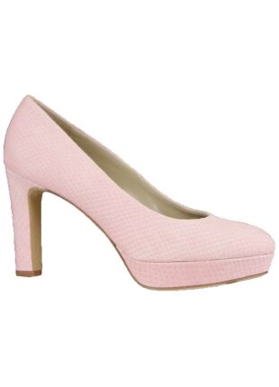 Andrea Catini Andrea Catini pitone rosa 9648