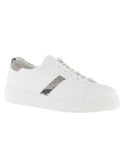 Panara Sneaker NAP4484