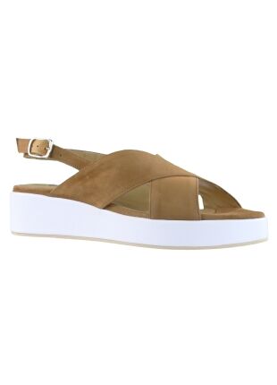 Cervone Cervone cam tan 3041
