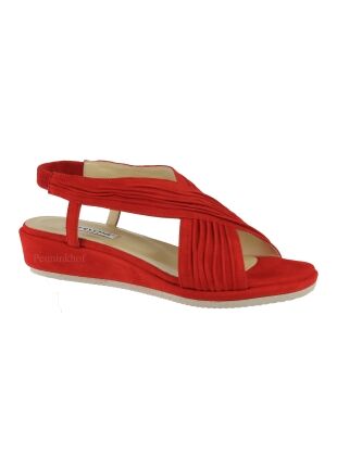 Cervone Cervone rosso 2071