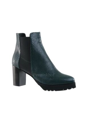Cervone Cervone aspide verde 681