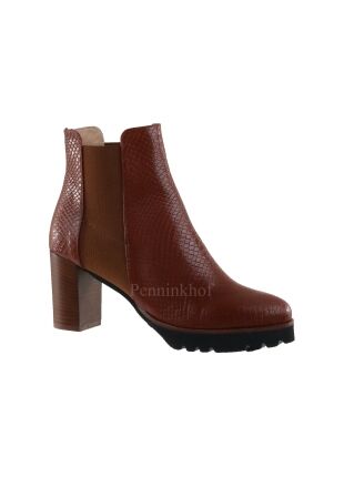 Cervone Cervone aspide cognac 681
